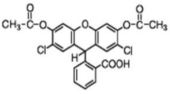 5f1a53b577c76.png image.png