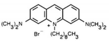 5f1f82ff5cf8e.png image.png