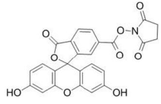 5f30f50dadf39.png image.png