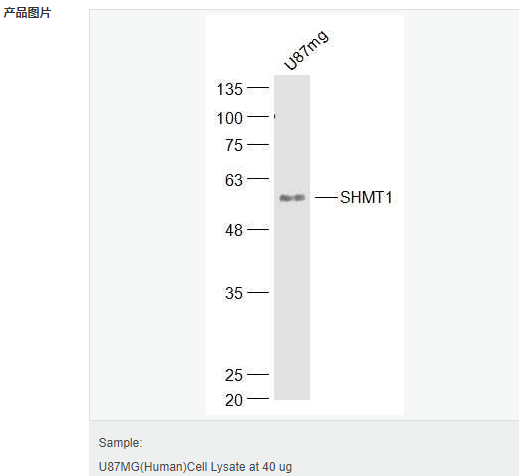 6052a8966af7f.png image.png