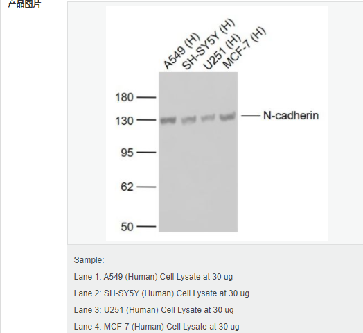 6057fd8da39bf.png image.png