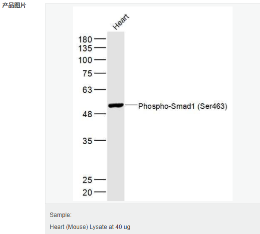 6058444429345.png image.png