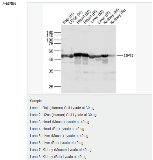 605943873ff07.png image.png