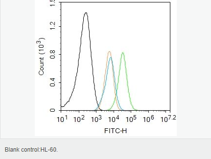 60594500743c4.png image.png