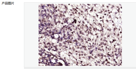 60598b6709e02.png image.png