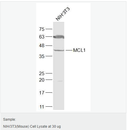 6059a6153716a.png image.png