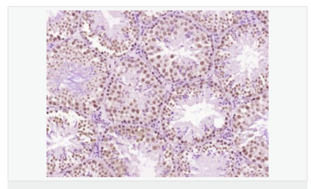 605c40c3db373.png image.png