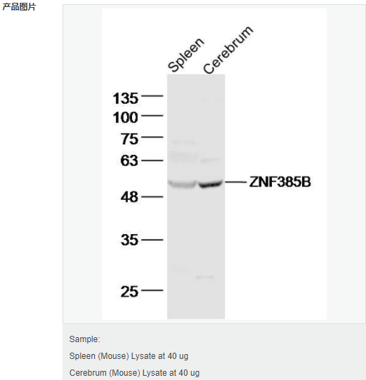 605c4241b306b.png image.png