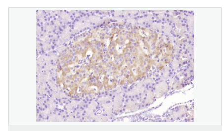 605c4500233aa.png image.png