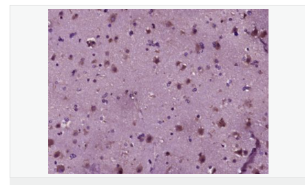 605d9f6f03a8b.png image.png