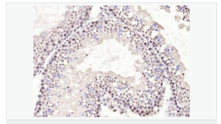 6065718719891.png image.png