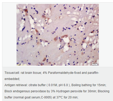 606571e57c549.png image.png