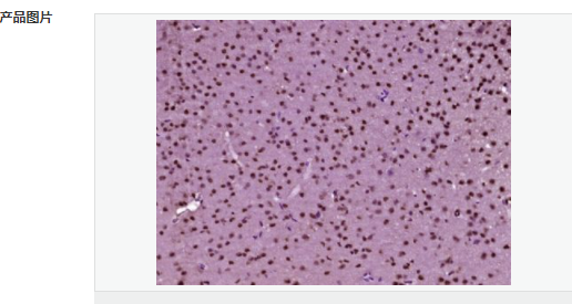 607649d7c5350.png image.png