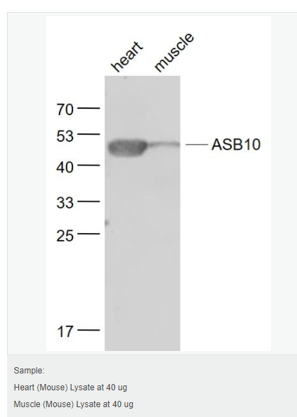 60765901497ef.png image.png