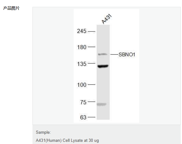 6077aad368d37.png image.png