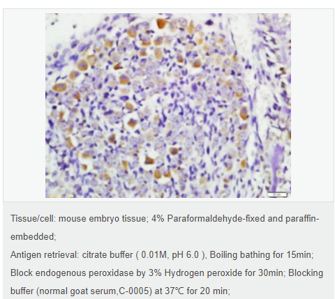 6077e0591da96.png image.png