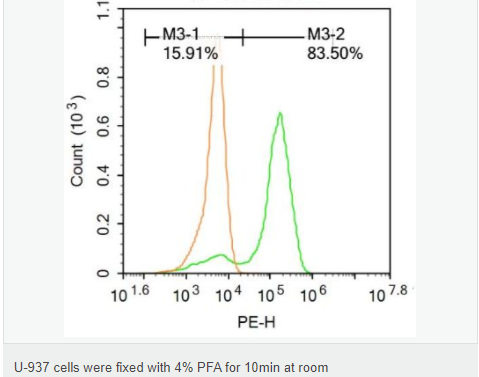 6077e0d87d82c.png image.png