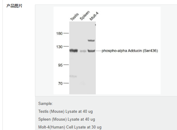 6077f8e8c722c.png image.png