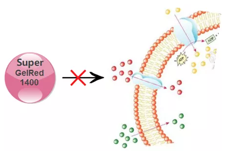 6462d3bb44d3e.png image.png